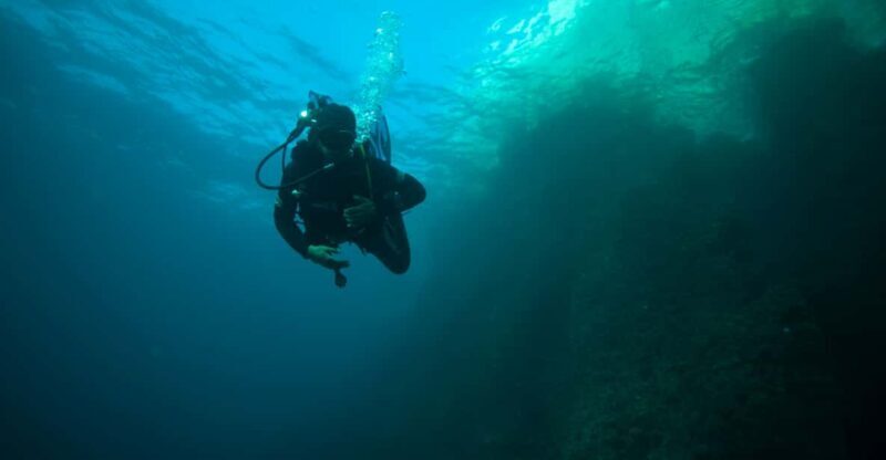 Calanques National Park Snorkel and Scuba Dive - Key Points