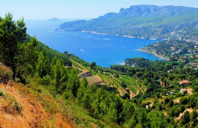 Calanques of Cassis, Aix-en-Provence & Wine Tasting Day Tour - An Inside Look at the Itinerary