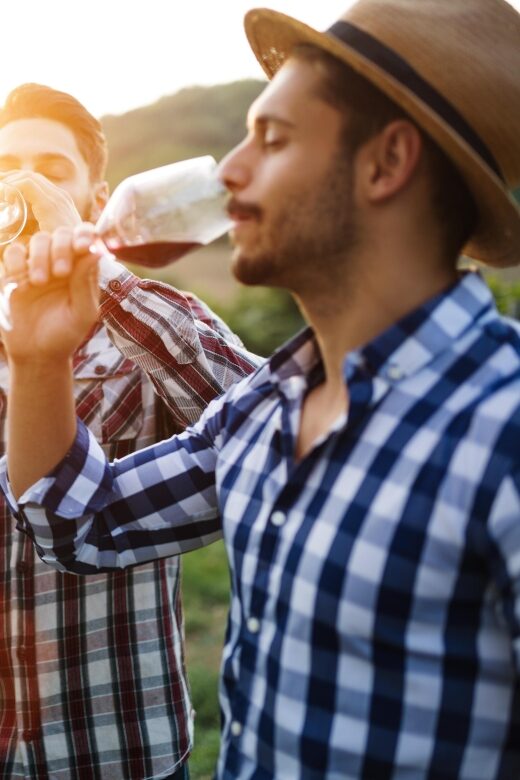 Calaveras/Tuolumne Digital Wine Tasting Passport - Who Should Consider This Experience?