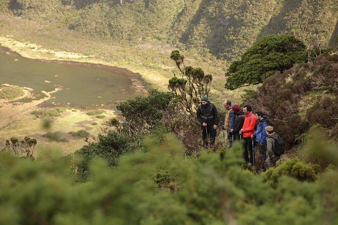 Caldeira do Faial Descent - private hiking tour - Introduction