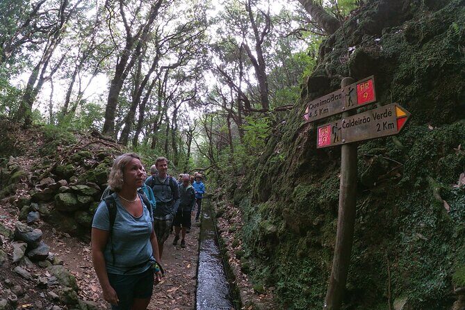 Caldeirão Verde Levada (PR 9) - Guided Madeira Levada Walk - What to Expect on the Caldeirão Verde Levada Walk