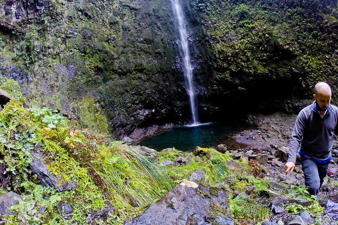 Caldeirão Verde Levada (PR 9) - Guided Madeira Levada Walk - Authentic Perspectives from Other Travelers