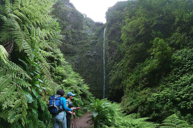 Caldeirão Verde Levada (PR 9) - Guided Madeira Levada Walk - Who Should Consider This Tour?