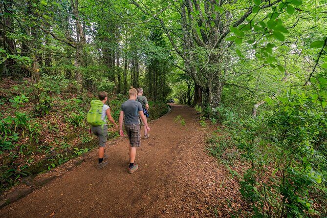 Caldeirão Verde Levadas Walk in Madeira - Key Points