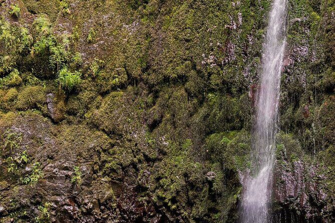 Caldeirão Verde Levadas Walk in Madeira - FAQs