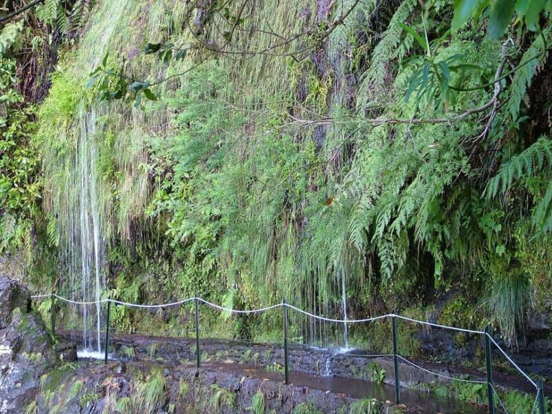 Caldeirão Verde: Queimadas PR9 Transfer Hike - Who Should Consider This Tour?