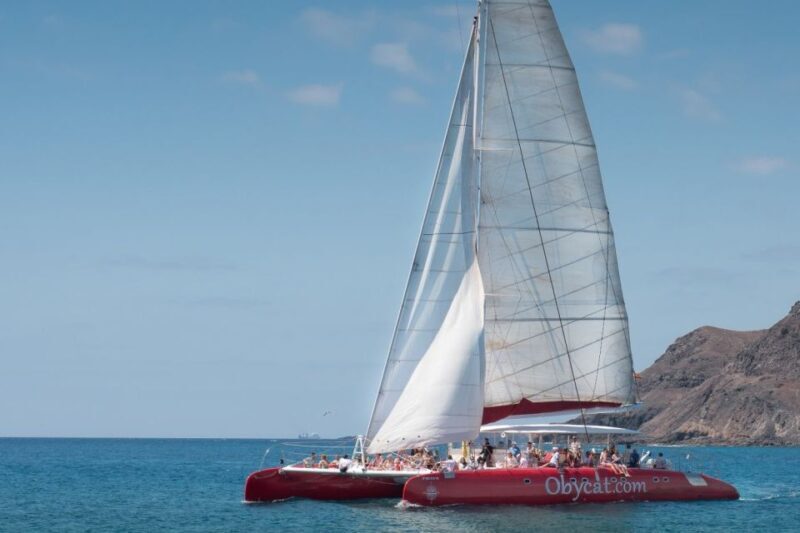 Caleta de Fuste: Catamaran Sailing Experience - Key Points