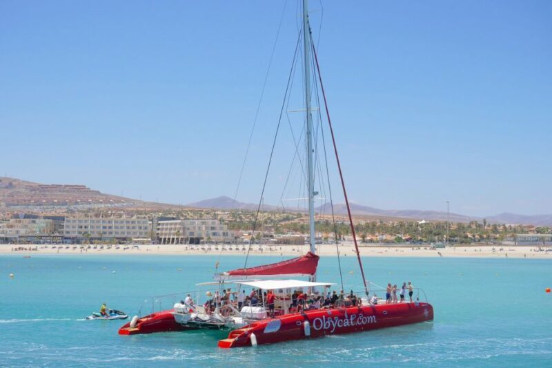 Caleta de Fuste: Catamaran Sailing Experience - Who Is This Tour Best For?