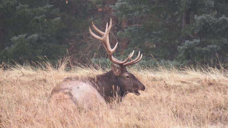 Calgary: 2-Day Banff National Park Highlights Summer Tour - FAQs