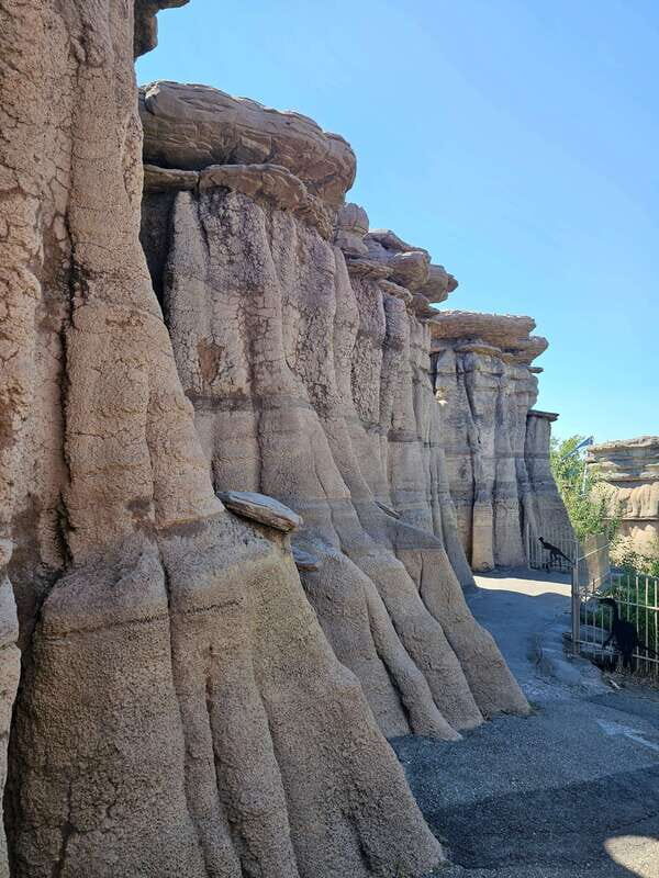 Calgary City Tour & Yamnuska Wolfdog Sanctuary Private Tour - The Real Experience: What Travelers Say