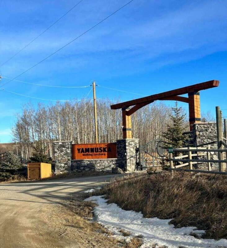 Calgary City Tour & Yamnuska Wolfdog Sanctuary Private Tour - The Sum Up