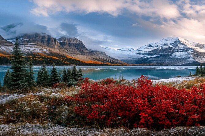 Calgary: Columbia Icefield Adventure, Skywalk and Peyto Lake Tour - Who Is This Tour Best For?