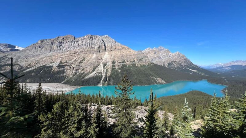 Calgary: Columbia Icefield & Bow Lake & Peyto Lake - Key Points