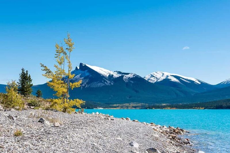 Calgary: Day Trip to Jasper with Lunch - Practical Tips for the Trip