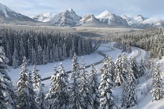 Calgary Private Airport Transfer: to/from Canmore & Banff - The Real Deal: What to Expect from the Transfer