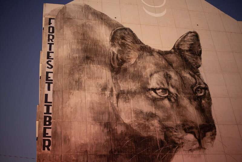 Calgary: Street Art & Craft Beer Walking Tour w/ Tastings - Key Points