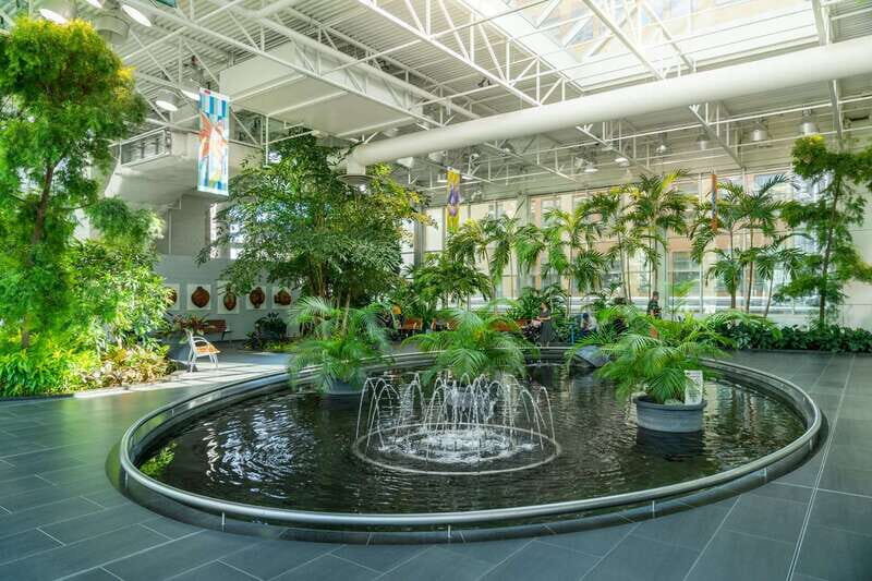 Calgary: Tips-Based City Highlights Walking Tour | 3-Hour - An Honest Look at the Tour Experience