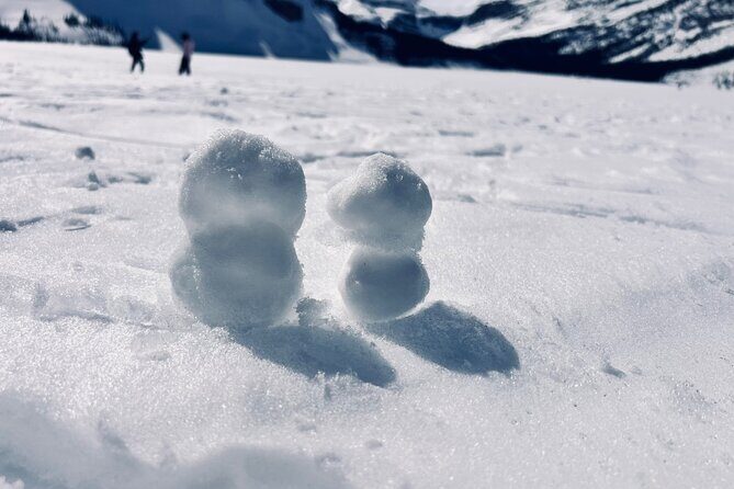 Calgary to Banff,YoHo National Park Private Day Tour - What Travelers Are Saying