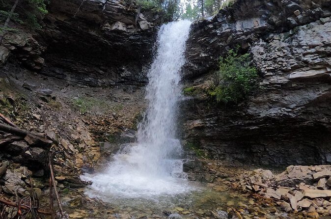 Calgary to the Rocky Mountains Private Day Tour - FAQ