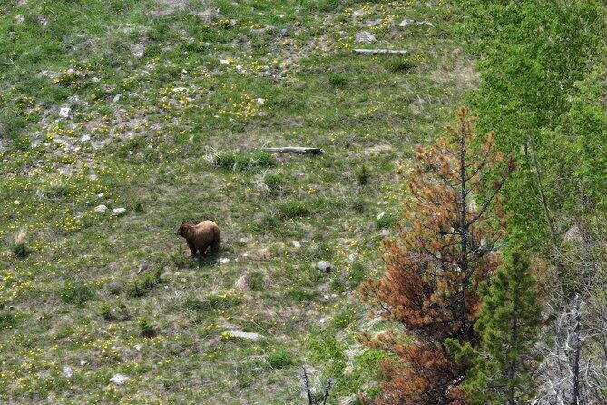 Calgary to the Rocky Mountains Private Day Tour - Final thoughts