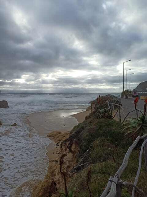 Calheta: Southwest Coastline Van tour - Who Will Love This Tour?