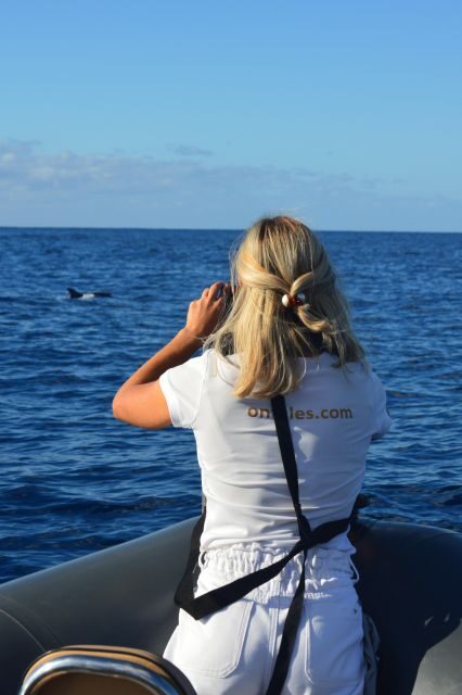 Calheta: Whale & dolphin watching small groups designer tour - FAQs