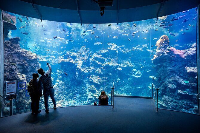 California Academy of Sciences General Admission Ticket - What to Expect at the California Academy of Sciences