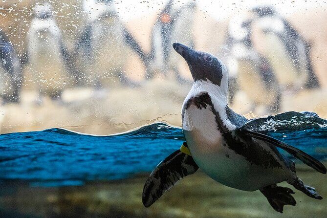 California Academy of Sciences General Admission Ticket - Who Should Consider This Tour