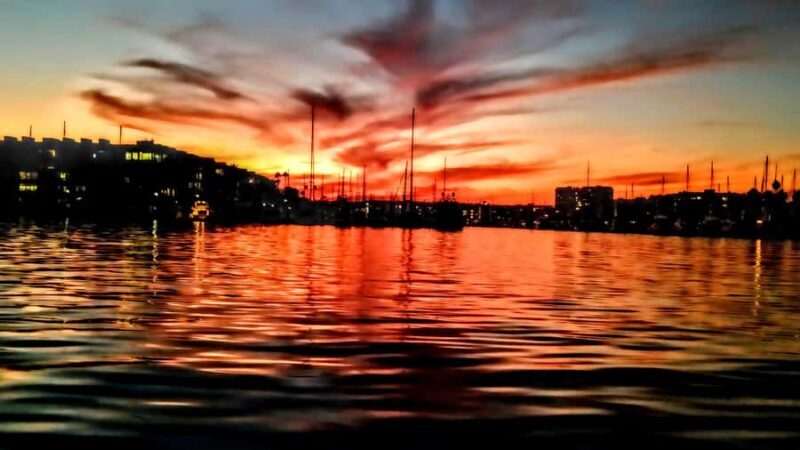 California Coastline Scenic Wildlife Photography Tour - Frequently Asked Questions