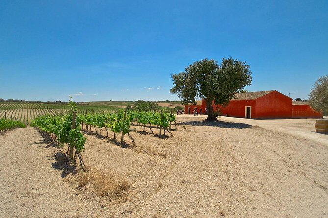 Caltagirone Day Tour  Private Experience - FAQ