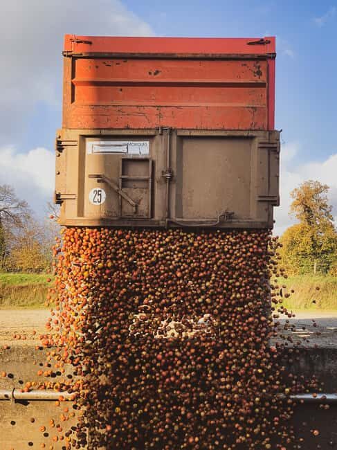 Calvados: the art of making Coquerel Calvados and Normindia Gin - Key Points