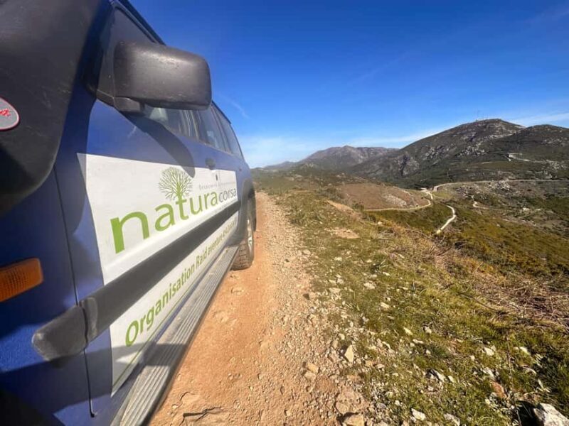 Calvi: Asco Valley 4x4 Day Tour with Guide - An In-Depth Look at the Asco Valley 4x4 Tour