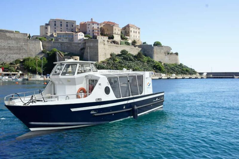Calvi: Guided speedboat tour to Scandola - Key Points