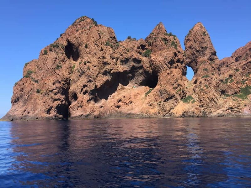 Calvi: Guided speedboat tour to Scandola - What Makes the Experience Special?