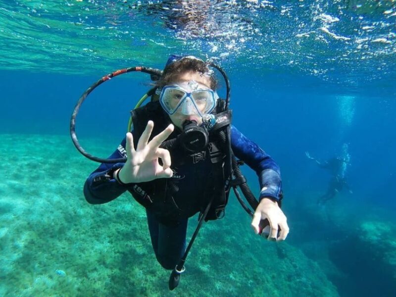 Calvi: PE20 Certificate Diving Lessons with Instructor - Key Points