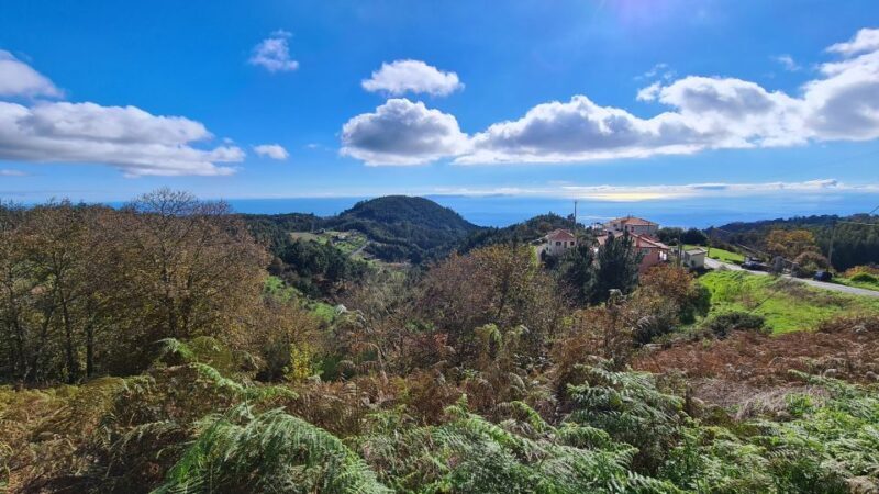 Camacha: Levada Trail e-Bike Guided Tour - The Downsides and Considerations