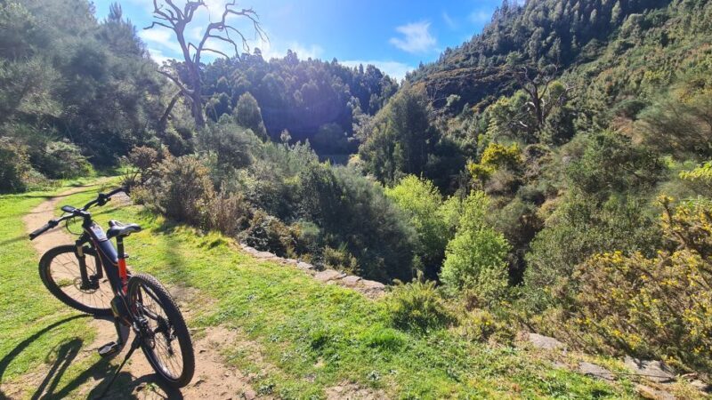 Camacha: Levada Trail e-Bike Guided Tour - Final Thoughts
