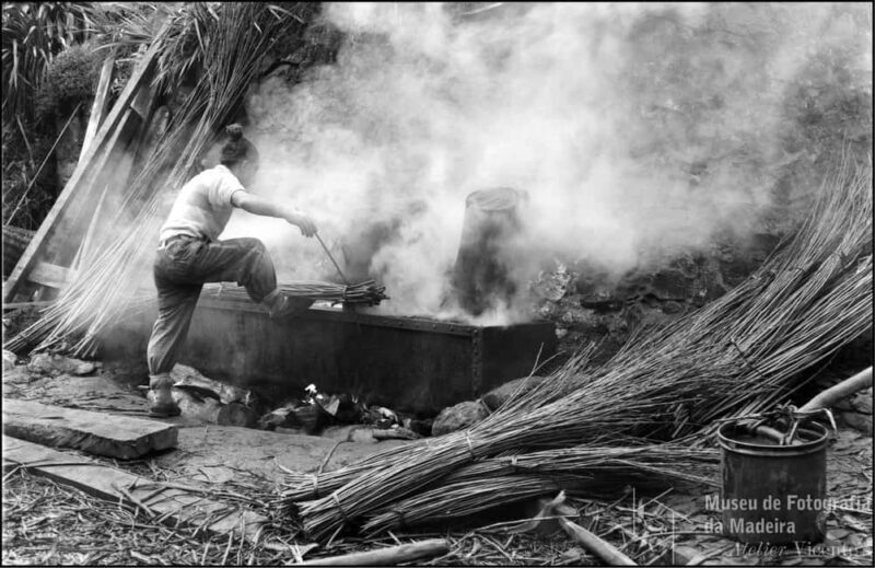 Camacha - The art of wickerwork - Key Points