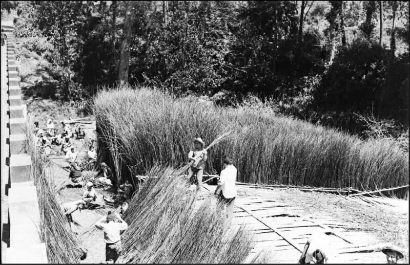 Camacha - The art of wickerwork - The Experience in Detail