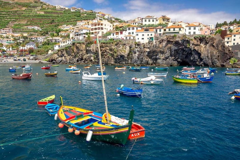 Câmara de Lobos, Pico da Torre, and Porto Moniz Tour - Is It Worth the Price?