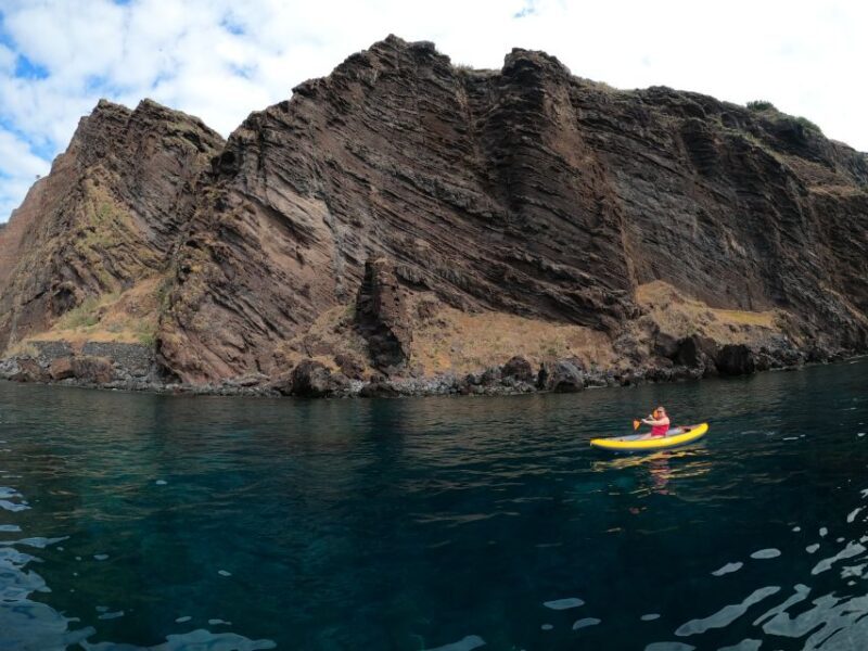 Câmara de Lobos: Private Guided Kayaking Tour in Madeira - Cost and Overall Value