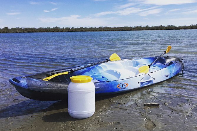Camargue 4x4 Safari 2h + Picnic + Kayak - Practicalities and Considerations