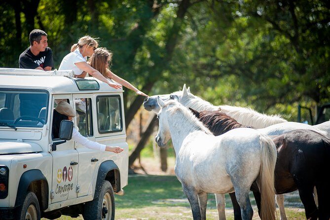 Camargue 4x4 Safari VIP Tour - Frequently Asked Questions