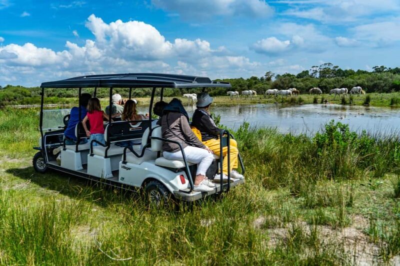 Camargue: Electric Safari with Guide - Final Thoughts