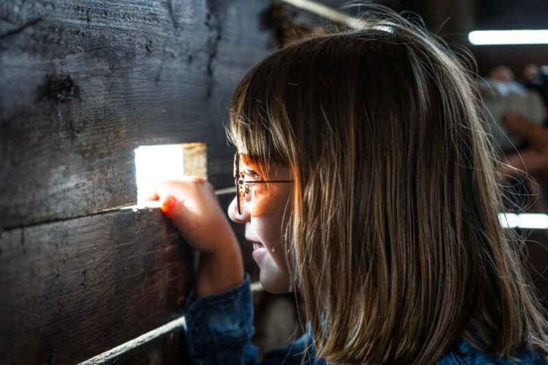 Camargue: Electric Safari with Guide - Frequently Asked Questions