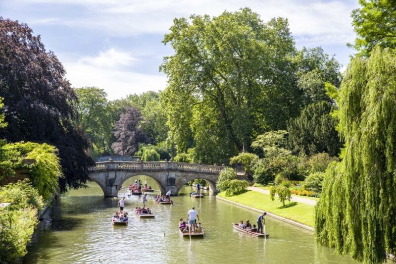 Cambridge: Guided River Cam Punting Tour - Key Points