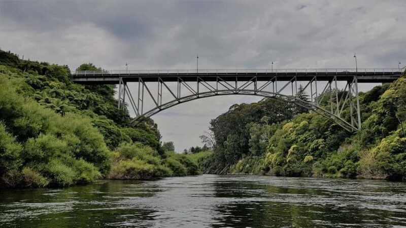 Cambridge, Matamata, Waitomo: 1-Hour Ecological River Cruise - What Makes This River Cruise Special?
