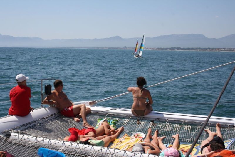 Cambrils: Costa Dorada Catamaran Day Cruise with BBQ Lunch - Who Will Love This Cruise