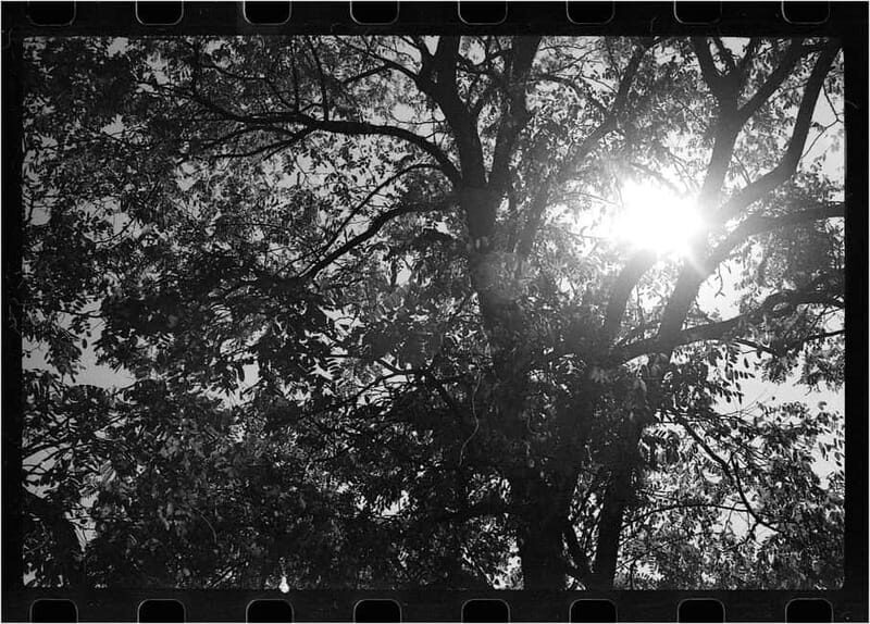 Camden: Photography Tour (Film Cameras Welcome!) - FAQ