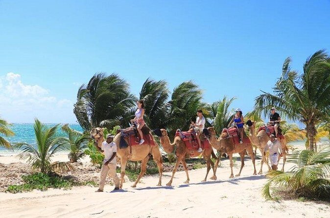 Camel Adventure on the Beach - The Experience for Different Travelers